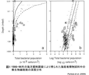図1:1986-96年の海洋掘削調査により得られた海底堆積物試料中の微生物細胞数の深度分布