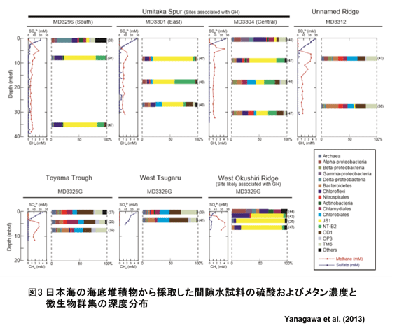 図3:日本海の海底堆積物から採取した間隙水試料の硫酸およびメタン濃度と微生物群衆の深度分布